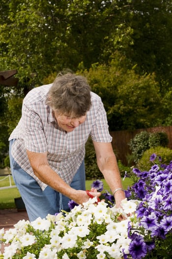 Gardening