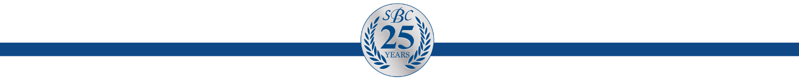 25th Anniversary Logo