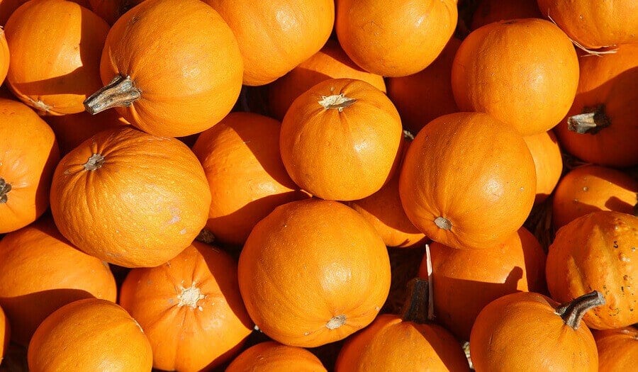 5 Health Benefits of Pumpkin