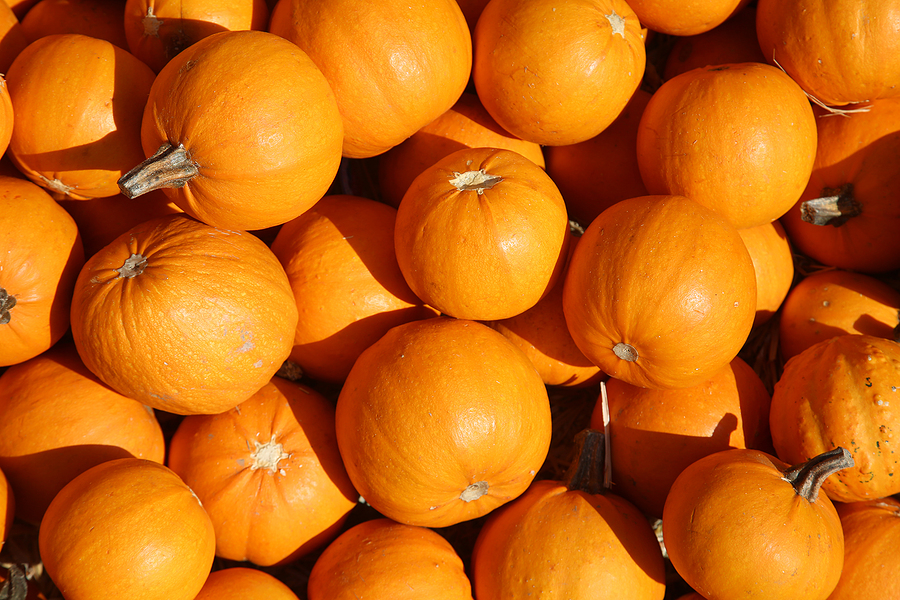 5 Health Benefits of Pumpkin