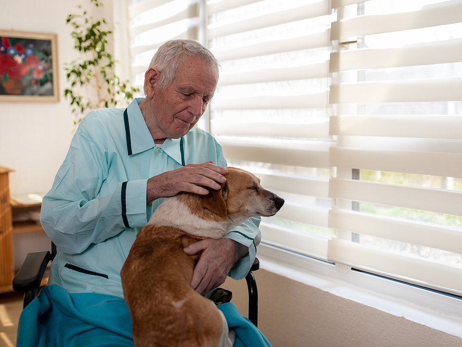 senior man with his dog