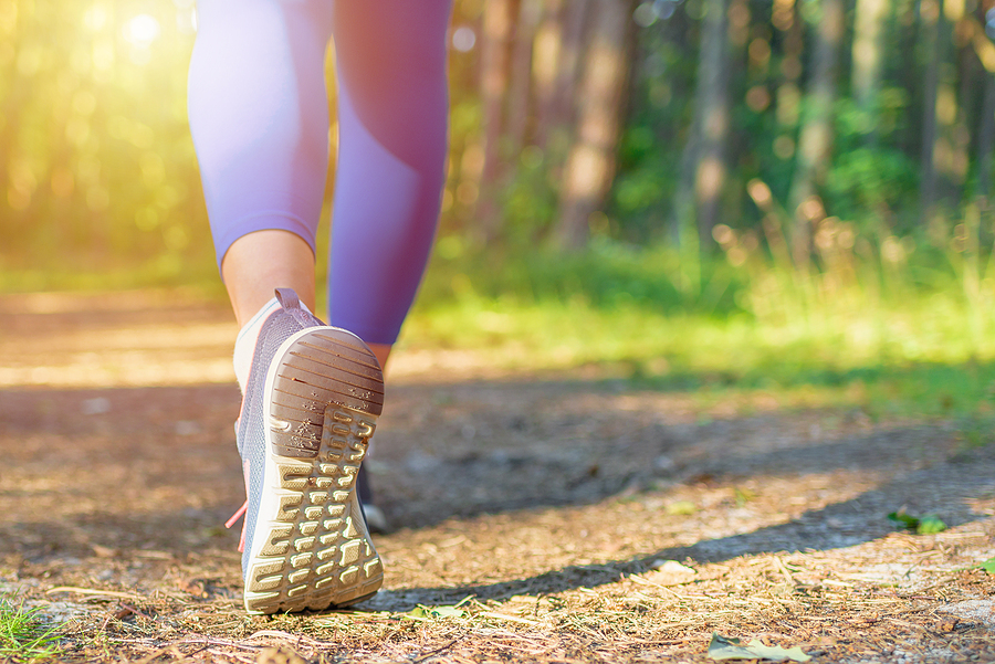 The Best Walking Trails for Staying Active in Sarasota