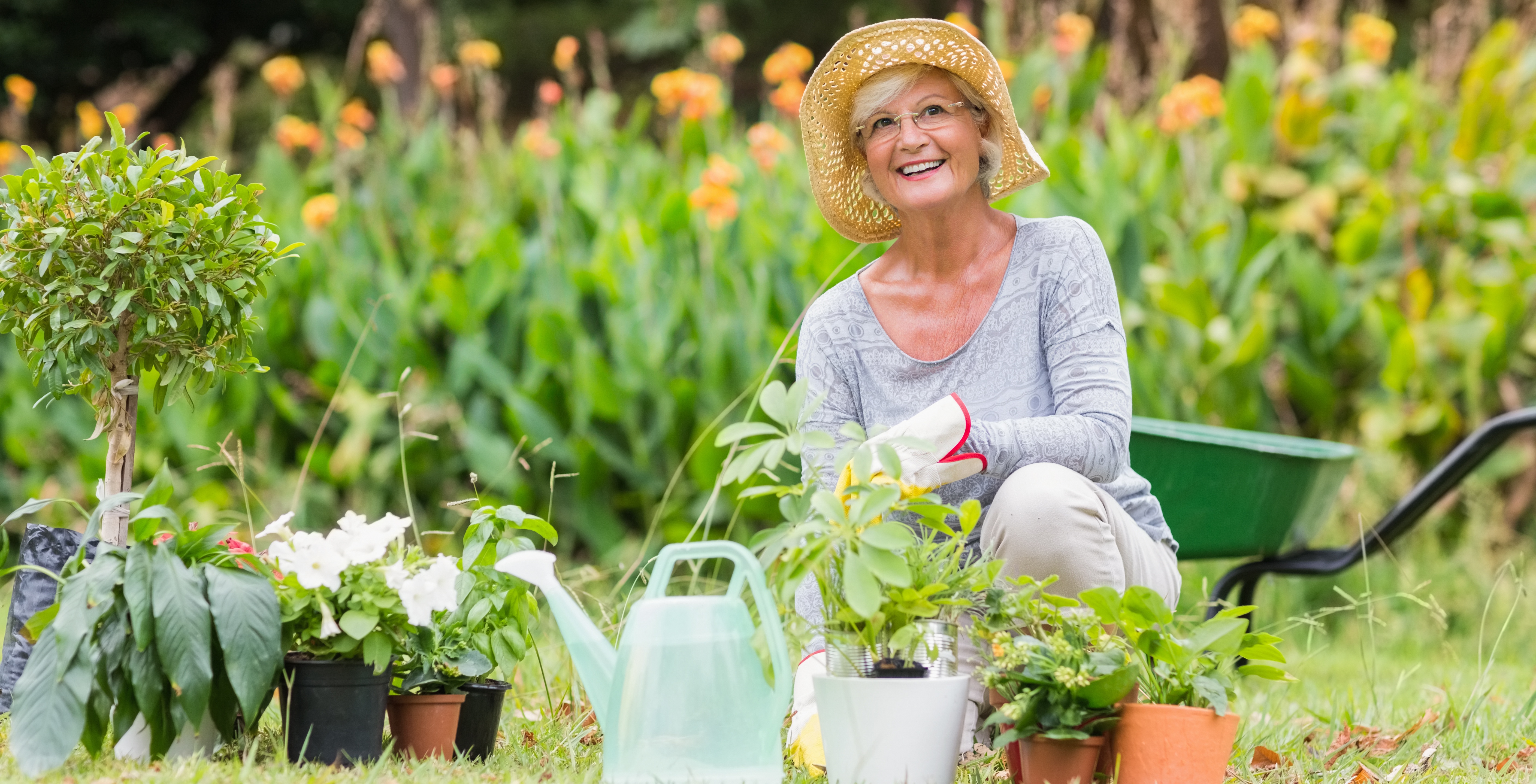 Top Gardening Tips For Seniors